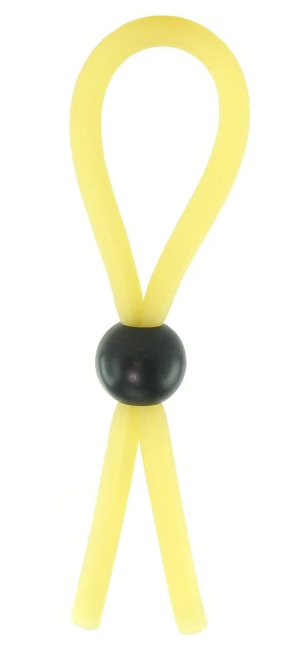 The lasso