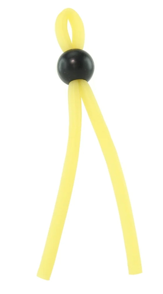 The lasso