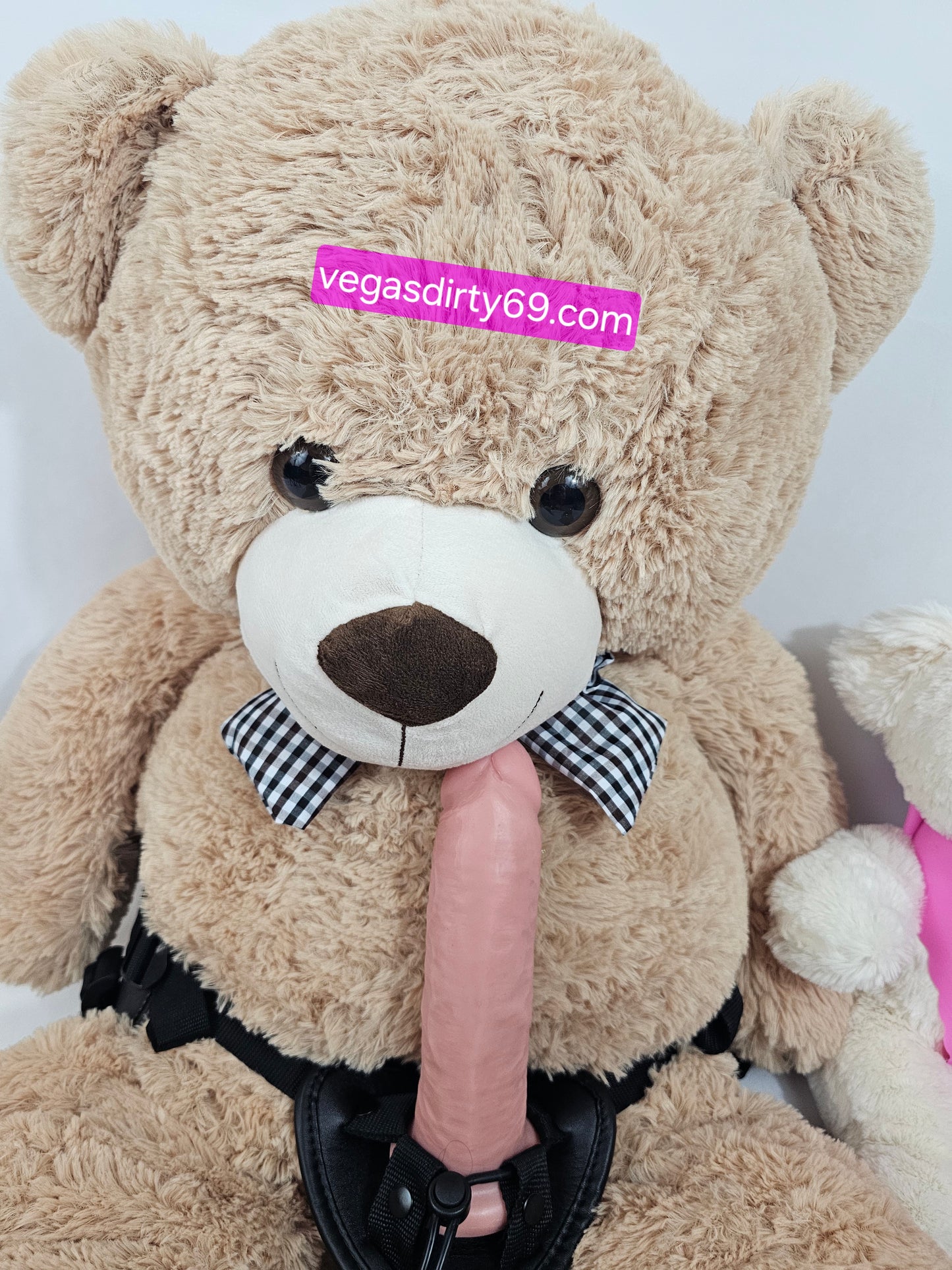4 feet Teddy bear with an 8 inch didlo 🍆 🧸 🐻