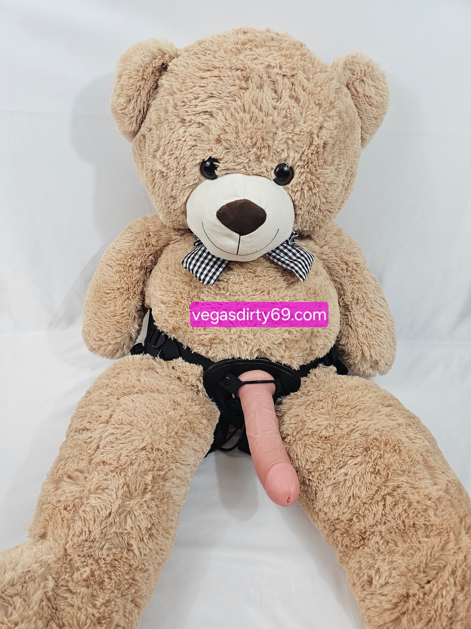 Teddy bears 🐻 🐻‍❄ & Glory of Hole.