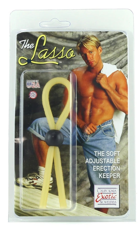 The lasso