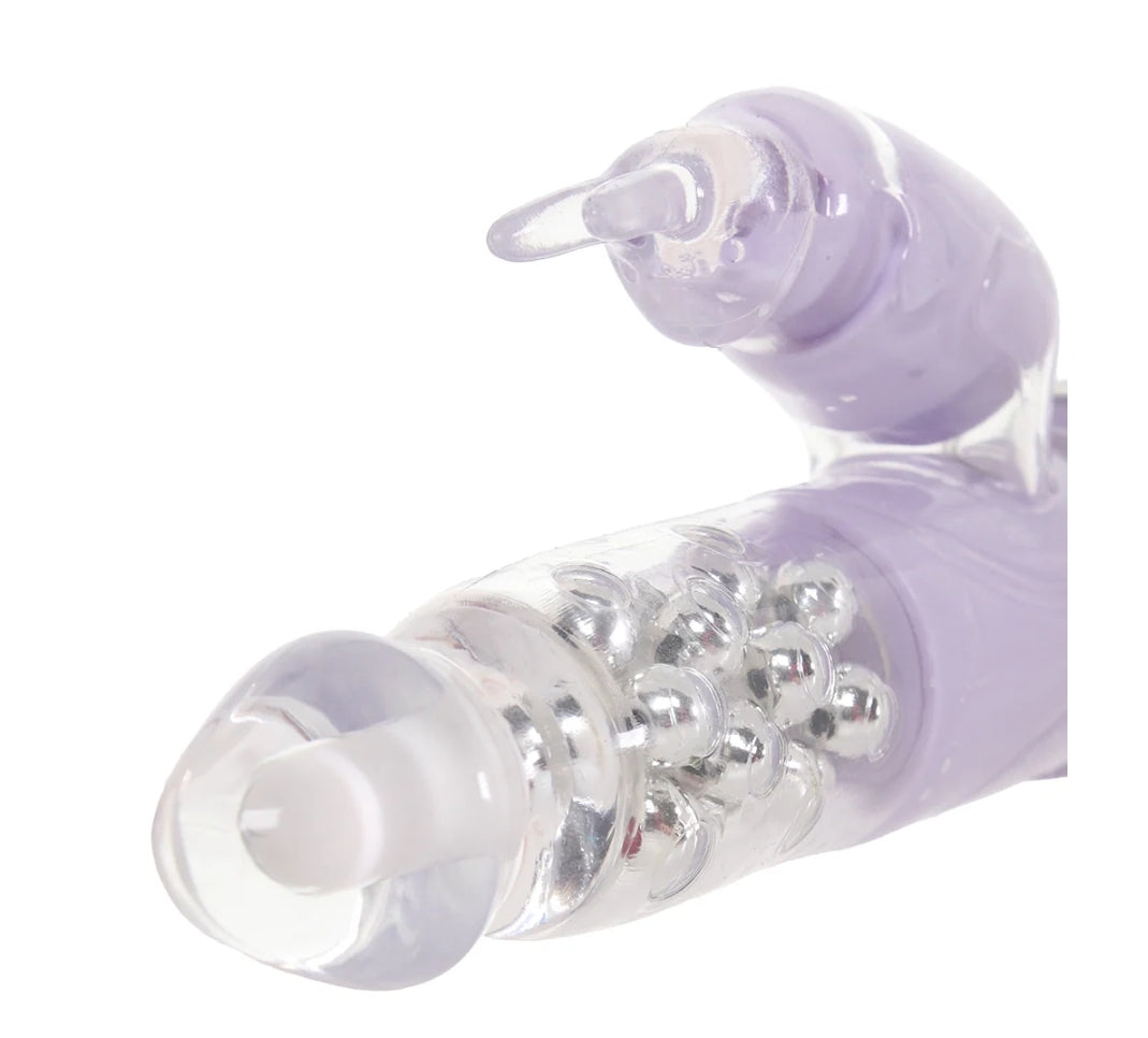 Mr. Jackrabbit express delivery