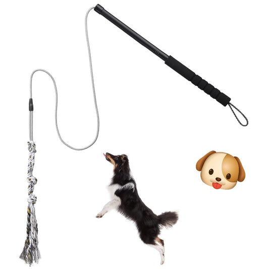 Fetish Dog toy.