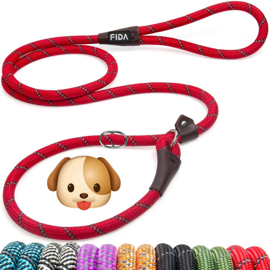 Dog leash.