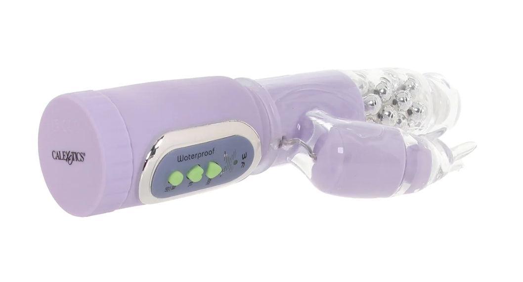 Mr. Jackrabbit express delivery